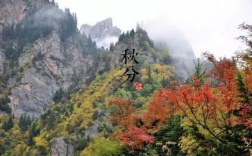 小满节气作文5篇