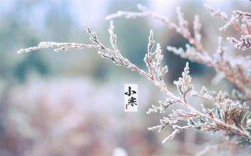 二十四节气心得6篇
