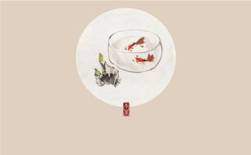 24节气的活动方案7篇