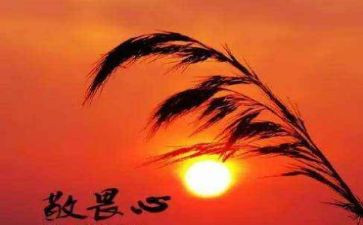 敬畏生命作文参考8篇