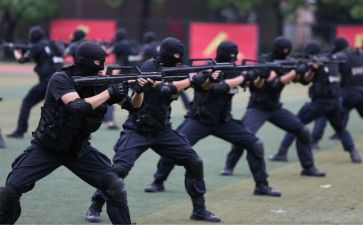 警务人员教育整顿心得体会7篇