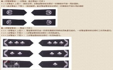 警衔晋升自我鉴定7篇