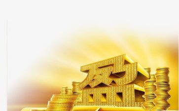 2024年金融工作个人总结6篇
