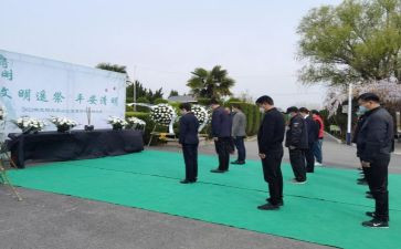 清明网上祭扫活动总结6篇