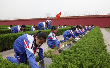 清明网上祭扫活动心得体会6篇