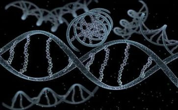 传承红色基因争做强国少年心得体会5篇