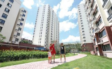 2024年居民养老保险工作总结6篇