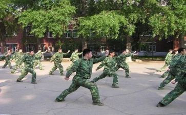 军体拳的心得体会6篇
