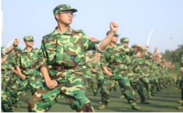 关于不军训的心得体会优质5篇