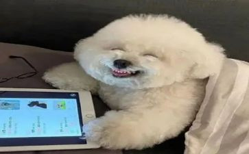 开心一天的作文200字6篇