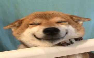 我开心了作文7篇