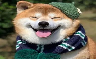 那一次我开心了作文通用7篇