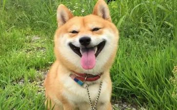 一件开心开心的事作文优秀8篇