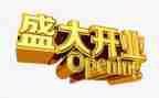 餐厅的开业活动策划6篇