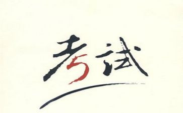 关于考试的作文800字8篇