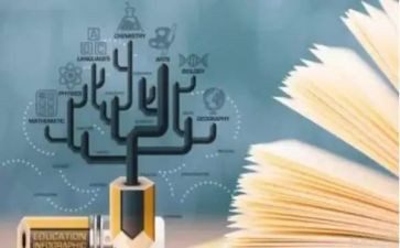 2024版小学数学课程标准心得体会模板6篇