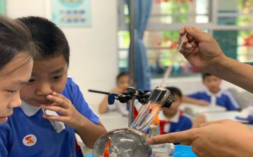 小学科学课教学总结模板5篇