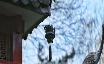 背古诗的苦与乐作文通用6篇