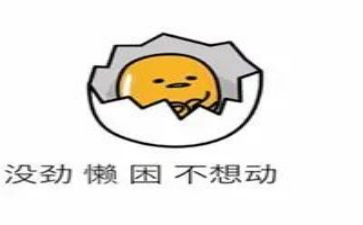 我的懒同学作文500字5篇