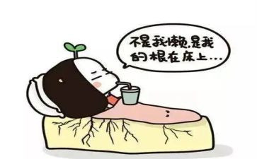 懒惰的猫作文7篇