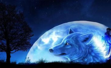 读《狼王梦》的读后感通用5篇