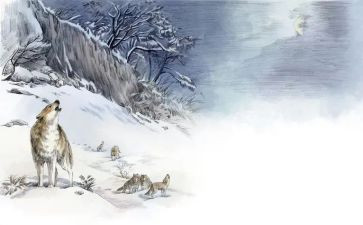 《狼王梦》的心得体会模板7篇