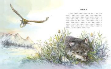 读后感狼王梦的读后感推荐5篇