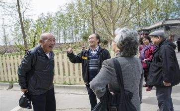 重阳节老干部活动方案8篇