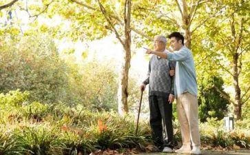 健康老人活动策划8篇