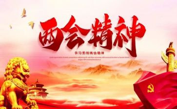 市两会安保工作总结5篇