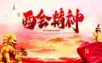 市两会安保工作总结5篇