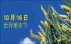粮食节活动方案5篇