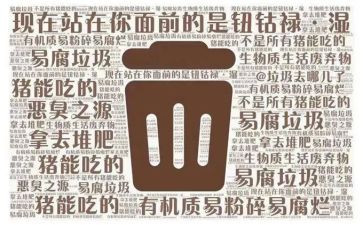 检垃圾心得体会最新7篇