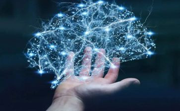 科学领域教案5篇