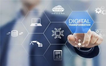 关于蛋的社会领域教案7篇