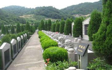 烈士陵园扫墓活动活动方案8篇