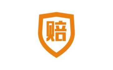 2024年理赔年终总结5篇