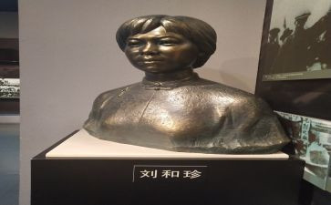 关于刘和珍作文优质6篇