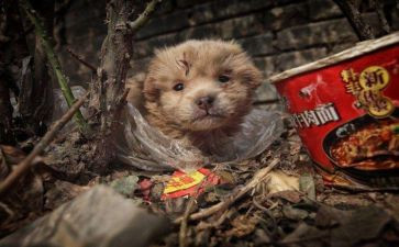 小学流浪地球观后感7篇