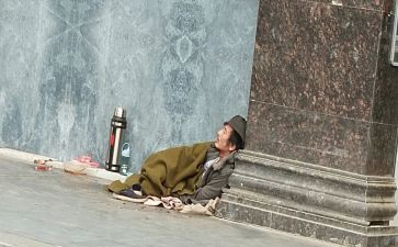 读流浪狗和流浪猫读后感7篇