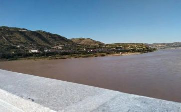 柳林风声,读后感8篇