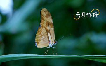 六月销售工作计划7篇