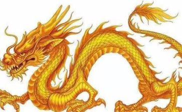 小班关于龙的教案6篇