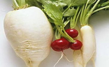 语言《拔萝卜》教案8篇