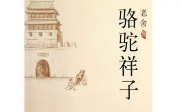 骑骆驼的作文最新7篇