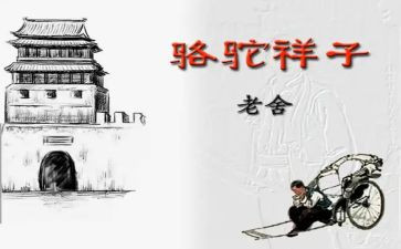 骑骆驼的作文优秀7篇