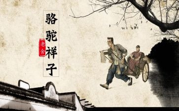 骑骆驼的作文8篇