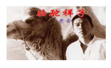 骆驼详子读后感300字模板6篇