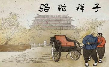 骑骆驼的作文优质5篇