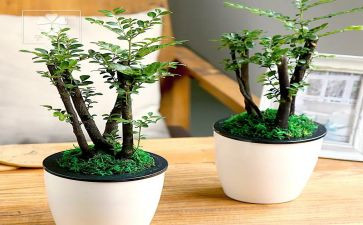 园林绿化科工作总结最新6篇